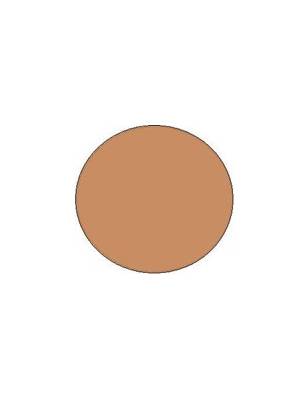 Shiseido Sheer And Perfect Compact Foundation SPF15 (Recarga)