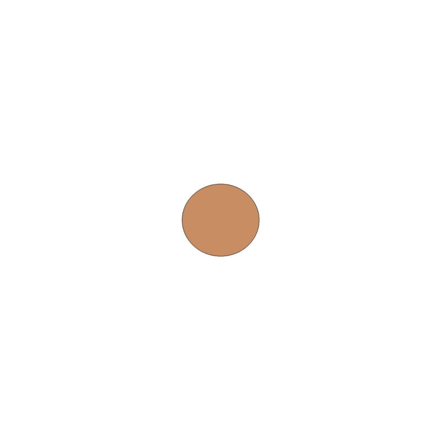 SHISEIDO SHEER AND PERFECT COMPACT FOUNDATIONS PF15 (RECARGA) SHISEIDO SHEER AND PERFECT COMPACT FOUNDATIONS PF15 (RECARGA)