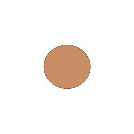 Sheer and Perfect Compact RECARGA B60