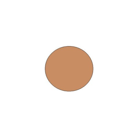 Sheer and Perfect Compact  RECARGA B60