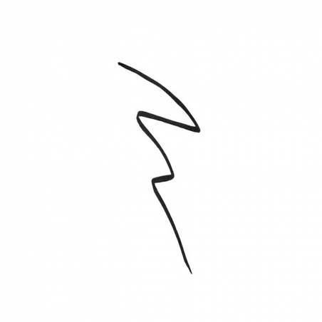 Shiseido Archliner Ink