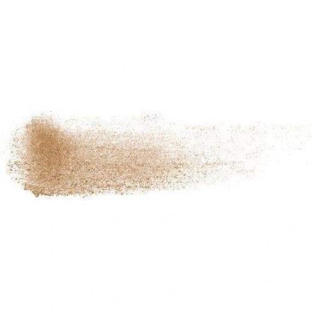 SHISEIDO BROW INTRIO