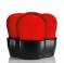 Shiseido Hanatsubaki Hake Polishing Face Brush