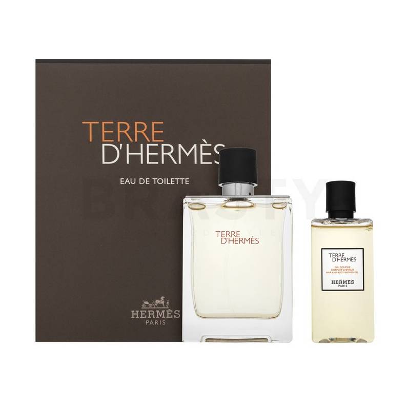 Hermes Terre D'Hermes Eau de Toilette 100ml + Gel 80ml