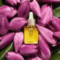 CLARINS ACEITE ROSTRO LOTUS CLARINS ACEITE ROSTRO LOTUS