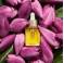 Clarins Aceite Rostro Lotus 30ml