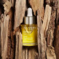 CLARINS ACEITE ROSTRO SANTAL CLARINS ACEITE ROSTRO SANTAL