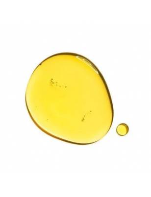 Clarins Aceite Rostro Santal 30ml