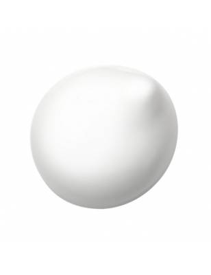 Sensai Absolute Silk Micro Mousse Treatment 90ml Estuche