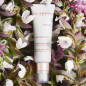 CLARINS CALM ESSENTIEL EMULSION RECONFORTANTE CLARINS CALM ESSENTIEL EMULSION RECONFORTANTE