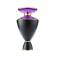 Bvlgari Le Gemme Ashilemah Eau de Parfum 100ml