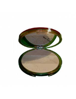 CLARINS POLVOS DE SOL EVER BRONZE