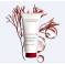 Clarins Hair Therapy Le Soin Flash 200ml