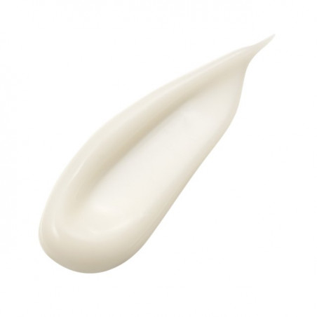SENSAI ABSOLUTE SILK CREAM