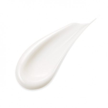 SENSAI ABSOLUTE SILK ILLUMINATIVE CREAM