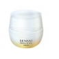 SENSAI ABSOLUTE SILK CREAM SENSAI ABSOLUTE SILK CREAM